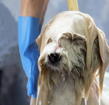 Guantes de Grooming para Mascotas