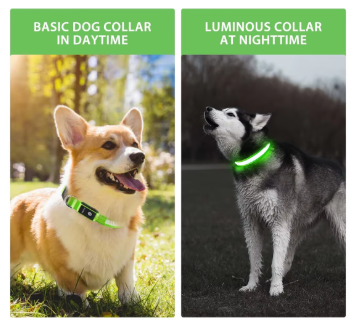 Collar LED Recargable para Perros - Visibilidad Nocturna